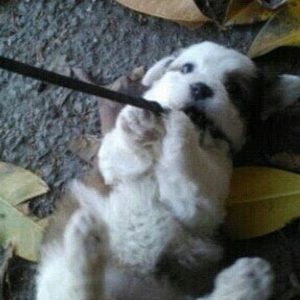 Meet your Posher, Vannie